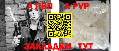 спиды Кингисепп